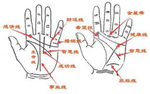 手相怎么看愛情，哪種手相的人不懂浪漫？