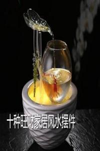 十種旺財家居風(fēng)水擺件
