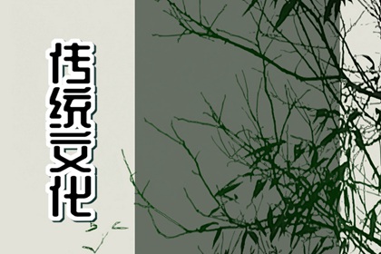夢(mèng)見(jiàn)了毛毛蟲(chóng)代表什么？ 周公解夢(mèng)(原版)免費(fèi)查詢大全