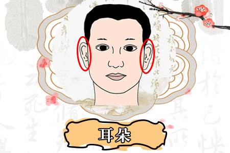 天生無(wú)耳垂的人命運(yùn)如何,無(wú)耳垂的面相