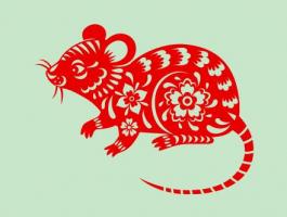 女屬狗男屬鼠的婚姻相配嗎