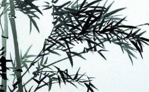 數字能量學手機號解析 手機號碼看性格事業(yè)財運