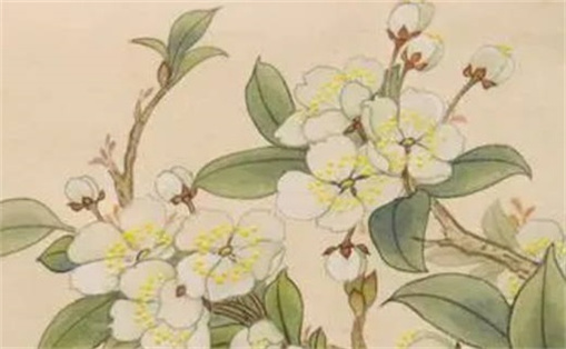 易經(jīng)中最好的三個數(shù)字 電話號碼選什么數(shù)字好財運