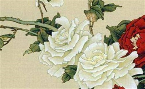 手機(jī)號碼5559什么意思 手機(jī)尾號5558含義