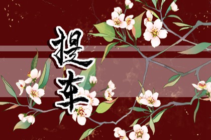 2024年4月17日適宜提車(chē)嗎 這天上牌吉利嗎