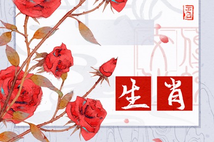 哪個生肖最傻最天真，腦子轉不過彎來