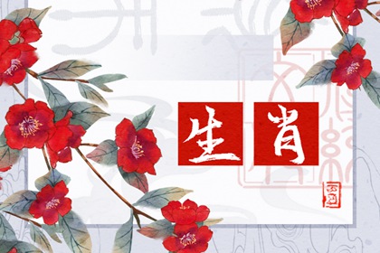 愚蠢至極的生肖女，誰的表現(xiàn)最讓人失望