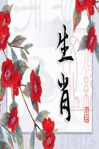 缺心眼的生肖男大揭秘，無(wú)腦行為引眾嘲