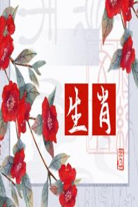愚蠢至極的生肖女，誰(shuí)的表現(xiàn)最讓人失望