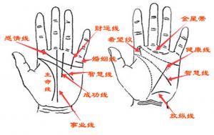 手相與年齡對(duì)照?qǐng)D，手相流年年齡段圖解！