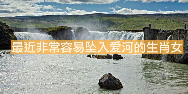 最近非常容易墜入愛(ài)河的生肖女