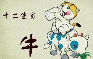 屬牛2024年整體運勢，屬牛2024年的運勢及運程！