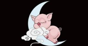 晚上生肖是什么生肖，十二生肖晚上的生肖有哪些？