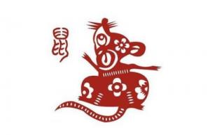 屬鼠人2024年全年運(yùn)勢運(yùn)程，屬鼠人2024年每月運(yùn)勢運(yùn)程！