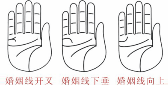 婚姻線分叉代表什么，婚姻線分叉是什么意思？