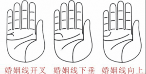 婚姻線分叉代表什么，婚姻線分叉是什么意思？