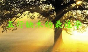 五行缺木的最佳字，五行缺木屬性的字大全！