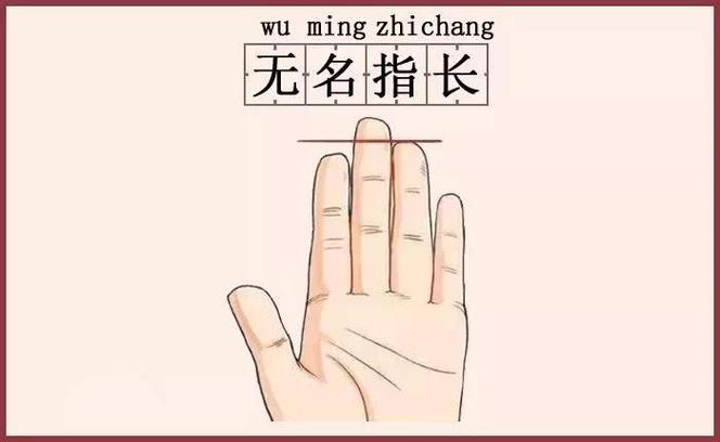 無名指比食指長的男人命運(yùn)如何