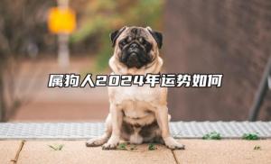 屬狗人2024年全年運(yùn)勢(shì)運(yùn)程，屬狗人2024年每月運(yùn)勢(shì)及運(yùn)程詳解！