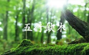 五行缺木的人婚姻怎么樣？