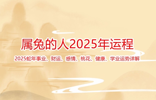 屬兔的2025年運(yùn)勢(shì)和財(cái)運(yùn)怎么樣