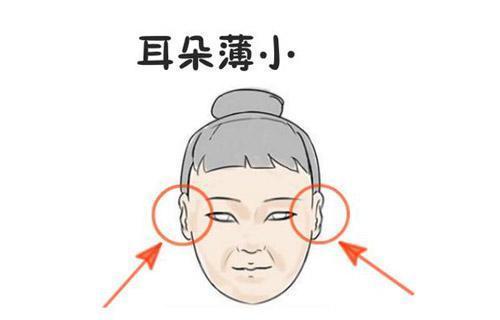 女人耳朵小的人命運怎么樣