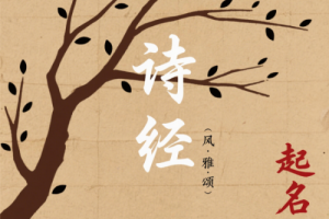 詩經楚辭起名女孩推薦