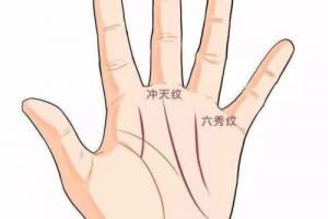 霸王線和三奇紋區(qū)別？