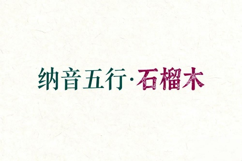 八字納音五行解析石榴木