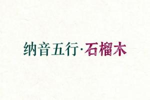 八字納音五行解析石榴木