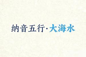 八字納音五行解析大海水
