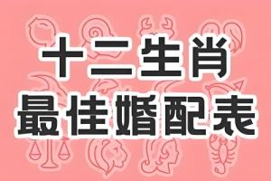 卜算子算命網(wǎng)